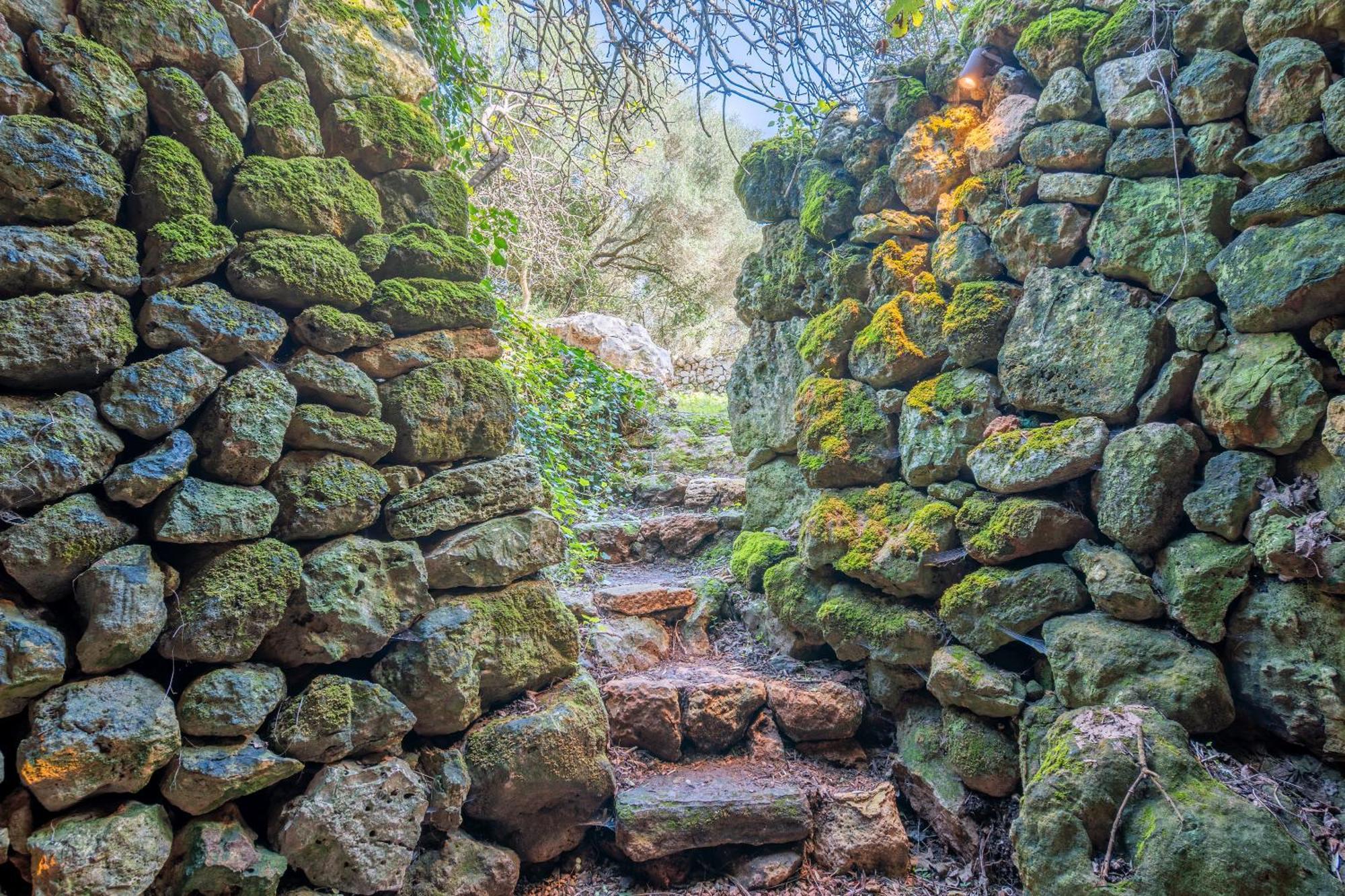 Es Mirador Manacor (Mallorca)